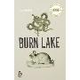 Burn Lake (平装)