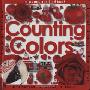 Counting Colors: A Seek and Find Book (木板书)
