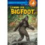 Looking for Bigfoot (平装)