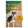 Walking Ollie: Or, Winning the Love of a Difficult Dog (平装)