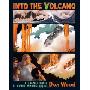 Into the Volcano (精装)