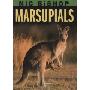 Marsupials (精装)