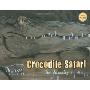 Crocodile Safari [With DVD] (精装)