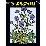 Wildflowers Stained Glass Coloring Book (平装)