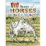 Big Book of Horses to Color (平装)