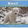 Knut: How One Little Polar Bear Captivated the World (精装)