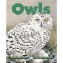 Owls (平装)