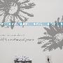 [新飾線墻貼]特惠雛菊二 個性花貼紙韓國客廳背景墻宜家貼畫浪漫