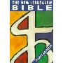 The New Jerusalem Bible: Study Edition (Bible Njb) (平装)