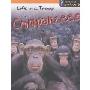 Chimpanzees Life in a Troop (精装)