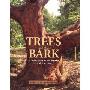 Trees and Their Bark: A Selection with Stories and Pictures (精装)