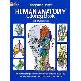 Human Anatomy (平装)