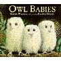 Owl Babies (木板书)