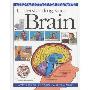 Understanding Your Brain (平装)