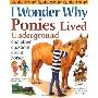 I Wonder Why Ponies Lived Underground: And Other Questions About Horses (平装)
