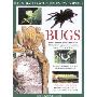 The Big Bug Book (刻版)