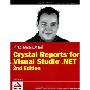 Professional Crystal Reports for Visual Studio.NET (平装)