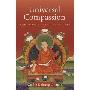 Universal Compassion: Inspiring Solutions for Difficult Times (平装)