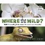 Where Else in the Wild? (精装)