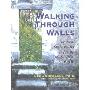 Walking Through Walls: Practical Spirituality in an Impractical World (平装)