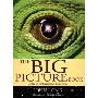 The Big Picture Book (精装)