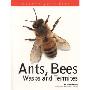 Ants, Bees, Wasps and Termites (Nature Fact File) (平装)