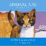 Kitten in the Cold (CD)