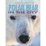 Polar Bear in the City (平装)