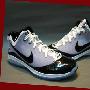 NIKE LEBRON VII PS 408758-101