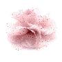 SaSa-韩国进口发夹发饰流行前线超人气热卖款-俏妞花伴(Pink)
