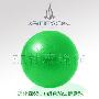 杰朴森高档防爆(环保无味)◆65cm绿色瑜伽健身球◆送打气筒和光盘