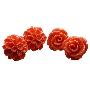尚文珠宝-925银珊瑚耳钉-超值两对装-山茶红(山茶花+玫瑰花)