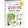 中国疗效中草药:320种对症中药图鉴 (平装)