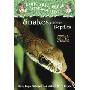 Snakes and Other Reptiles: A Nonfiction Companion to a Crazy Day with Cobras (平装)