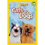 National Geographic Readers: Cats vs. Dogs (平装)