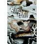 On the Black Hill: A Novel(penguin Ink) (平装)