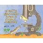 What's Smaller Than a Pygmy Shrew? (学校和图书馆装订)