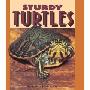 Sturdy Turtles (学校和图书馆装订)