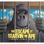 The Escape of Marvin the Ape (学校和图书馆装订)