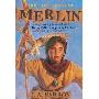Lost Years of Merlin (学校和图书馆装订)