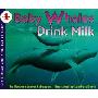 Baby Whales Drink Milk (学校和图书馆装订)