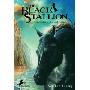 The Black Stallion (学校和图书馆装订)