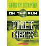 Public Enemies (图书馆装订)