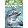 Dolphins and Sharks: A Nonfiction Companion to Dolphins at Daybreak (学校和图书馆装订)