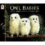 Owl Babies (学校和图书馆装订)