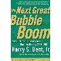 The Next Great Bubble Boom: How to Profit from the Greatest Boom in History: 2006-2010 (平装)