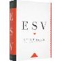 Study Bible-ESV (精装)