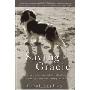 Saving Gracie: How One Dog Escaped the Shadowy World of American Puppy Mills (精装)