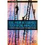 Full View Integrated Technical Analysis: A Systematic Approach to Active Stock Market Investing (精装)