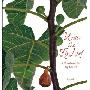 Under the Fig Leaf: A Cookbook for Fig Lovers (精装)